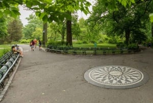 NYC: Central Park Movie Locations Guided Pedicab Tour