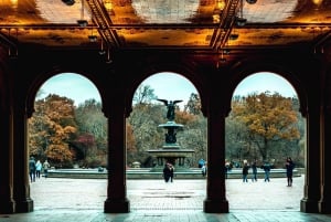 NYC: Central Park Movie Locations Guided Pedicab Tour