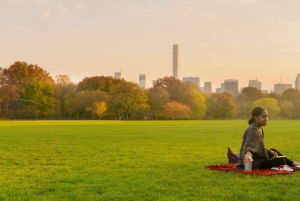 NYC: Central Park Movie Locations Guided Pedicab Tour