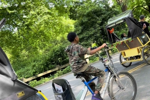 NYC: Central Park Pedicab Highlights Tour
