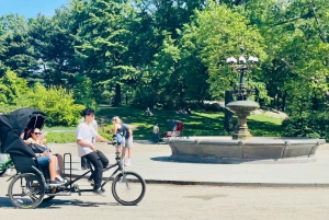 NYC: Central Park Pedicab Highlights Tour