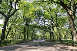 NYC: Central Park Pedicab Highlights Tour