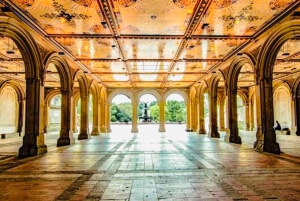 NYC: Central Park Pedicab Highlights Tour