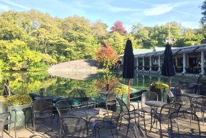 NYC: Central Park Pedicab Highlights Tour