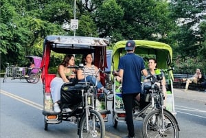 NYC: Central Park Pedicab Tour with Photo Stops