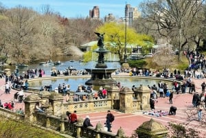 NYC: Central Park Pedicab Tour with Photo Stops