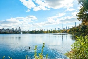 NYC: Central Park Pedicab Tour with Photo Stops