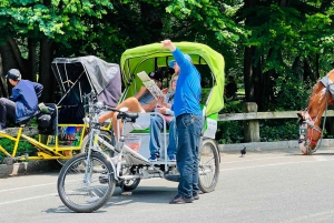 NYC: Pedicab-ture i Central Park fra Natural History Museum