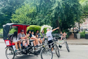 NYC: Pedicab-ture i Central Park fra Natural History Museum