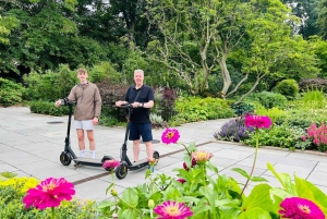 NYC: Central Park Yksityinen opastettu sähköinen skootterikierros