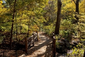 NYC: Biglietto per il tour guidato del Central Park Rickshaw (Pedicab)