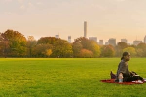 NYC: Biglietto per il tour guidato del Central Park Rickshaw (Pedicab)