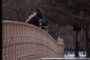 NYC: Biglietto per il tour guidato del Central Park Rickshaw (Pedicab)