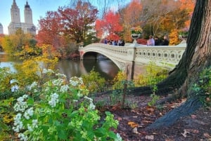 NYC: Central Park Secrets and Highlights Walking Tour