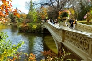 NYC : Central Park Secrets and Highlights Walking Tour