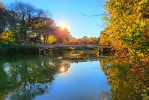 NYC : Central Park Secrets and Highlights Walking Tour