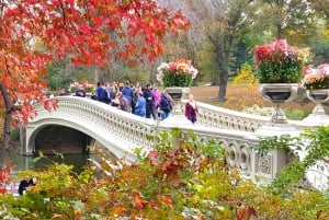 NYC: Central Park Secrets and Highlights Walking Tour