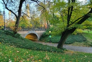 NYC : Central Park Secrets and Highlights Walking Tour