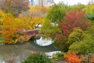 NYC : Central Park Secrets and Highlights Walking Tour