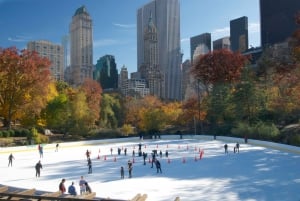 NYC : Central Park Secrets and Highlights Walking Tour