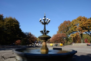 NYC: Passeio de riquixá especial de Ação de Graças no Central Park