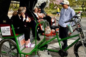 NYC: Passeio de bicitáxi com contação de histórias no Central Park com teatro