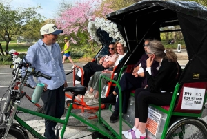 NYC: Passeio de bicitáxi com contação de histórias no Central Park com teatro