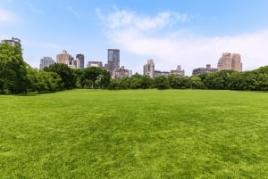 NYC Central Park Wandeltour Verken het hart van Manhattan