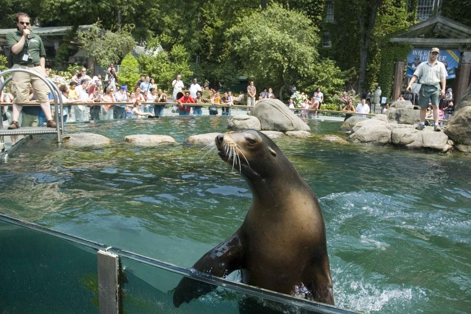 NYC: Biglietto d'ingresso allo zoo di Central Park e tour a piedi di Manhattan