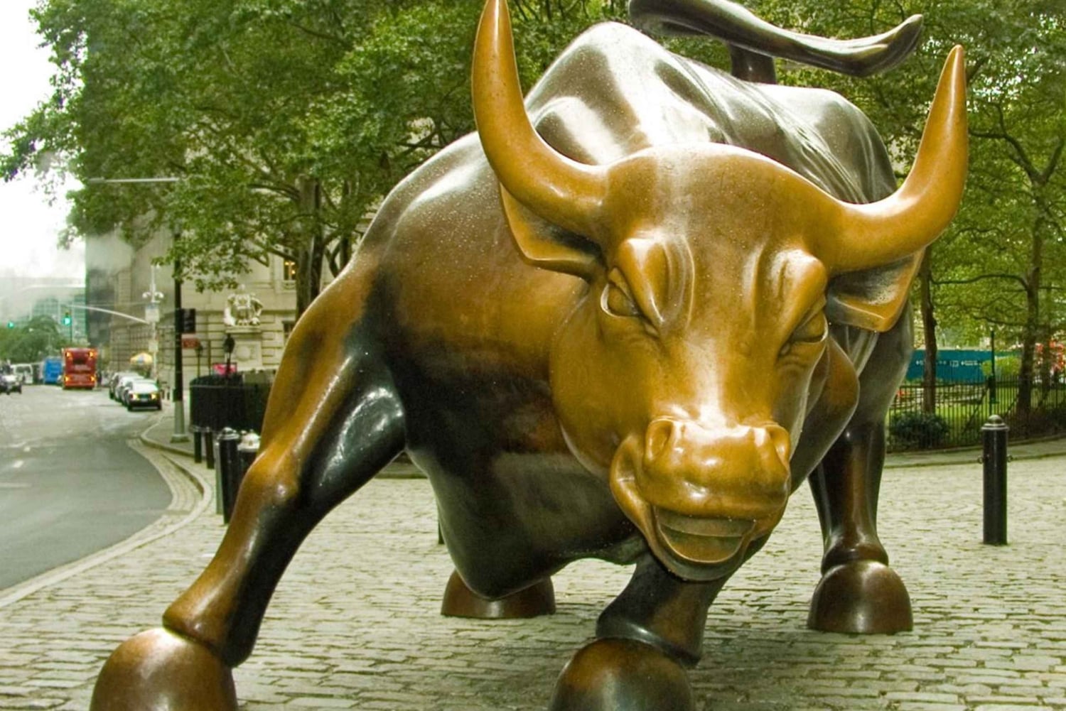 NYC: Ingresso para o zoológico do Central Park e excursão a pé por Manhattan