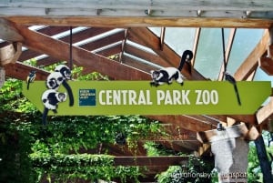 NYC: Central Park Zoo Entry Ticket & Manhattan Walking Tour