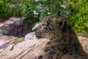 NYC: Central Park Zoo Entry Ticket & Manhattan Walking Tour