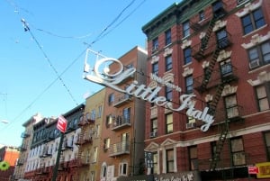 NYC: Ingresso para o zoológico do Central Park e excursão a pé por Manhattan