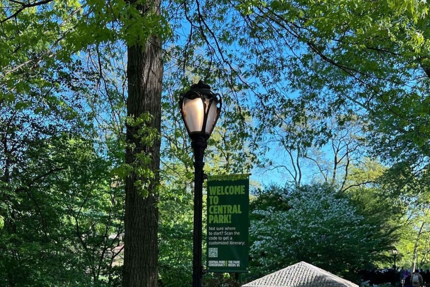 NYC: Inngangsbillett til Central Park Zoo med henting på hotellet