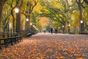 NYC: Inngangsbillett til Central Park Zoo med henting på hotellet