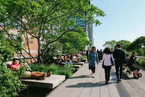 NOVA IORQUE: Visita a Chelsea e High Line com entrada no Edge Observatory