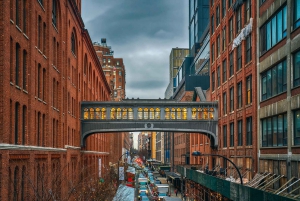 NYC: Tour di Chelsea e High Line con ingresso all'Osservatorio Edge