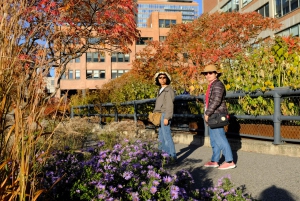 NYC: Tour di Chelsea e High Line con ingresso all'Osservatorio Edge