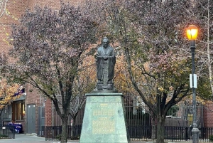 NYC: Cultuur- en eettour door Chinatown en Little Italy