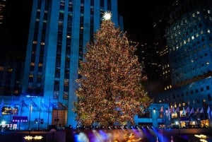 NYC: Christmas Holiday Guidad promenad med dessert