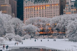 NYC: Christmas Holiday Guidad promenad med dessert