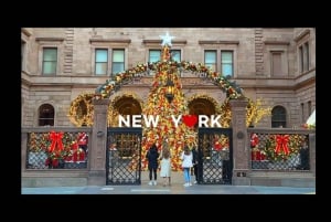 ニューヨーク：クリスマス ホリデー ワンダーランド ペディキャブ ツアー