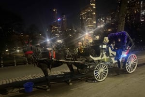 NYC: Christmas Lights Carriage Ride