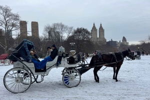 NYC: Paseo en carruaje con luces de Navidad