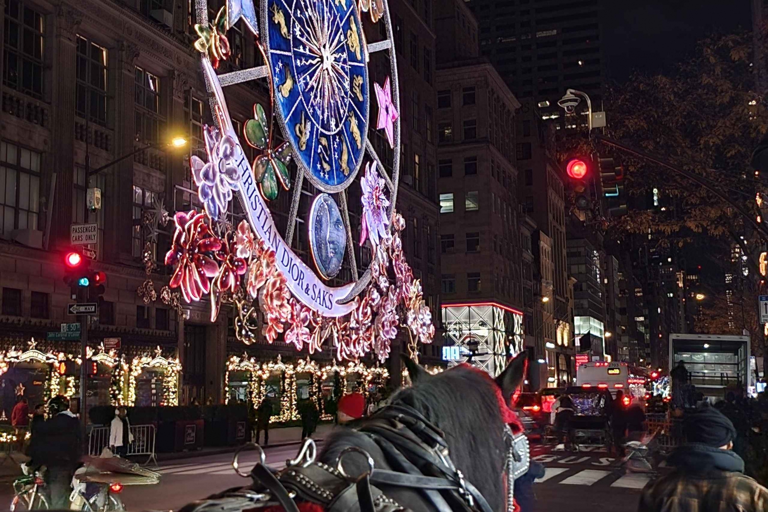 NYC: Kerstverlichting rit met de paardenkoets