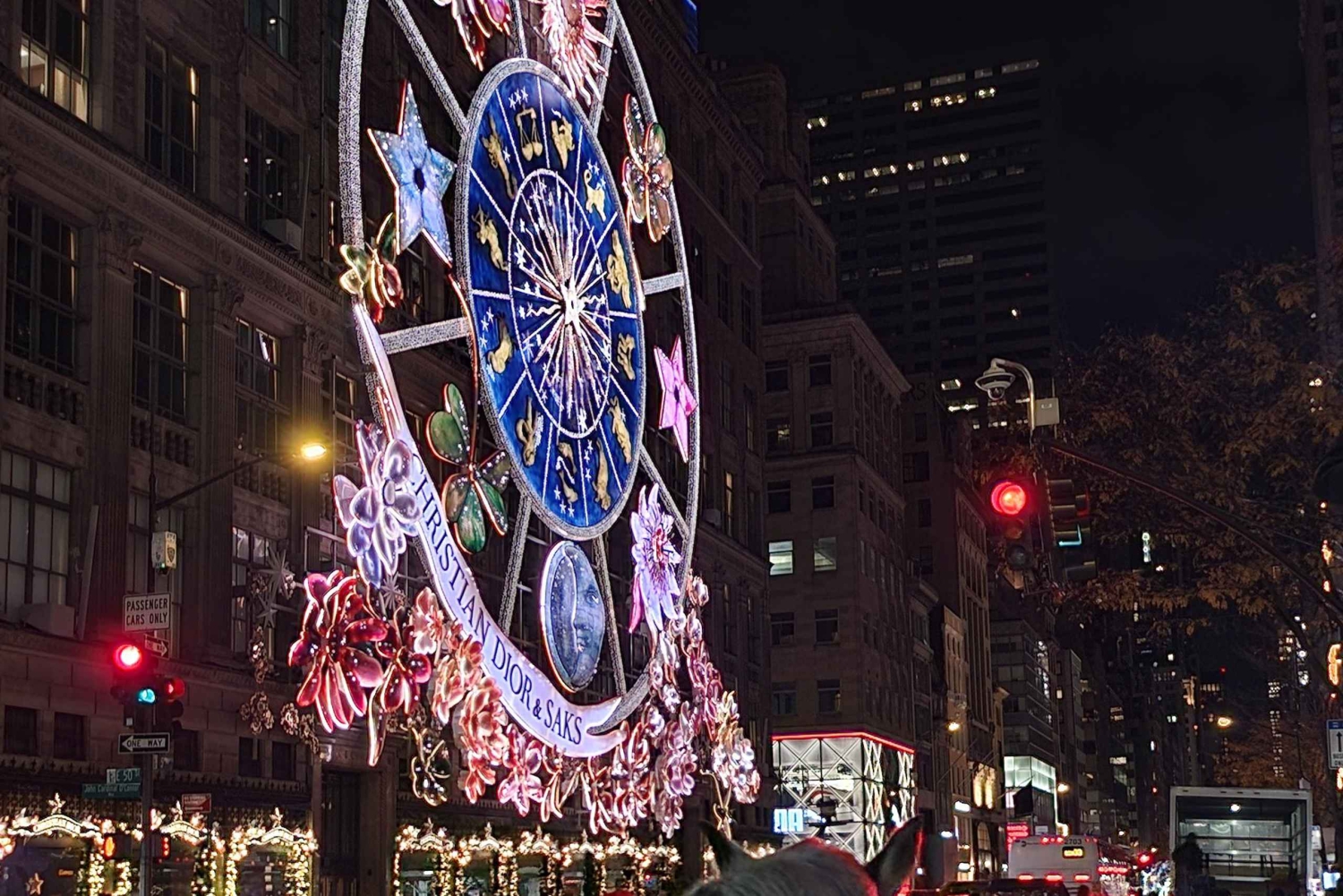 NYC: Giro in carrozza con le luci di Natale