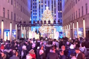 NYC: Passeio de carruagem a cavalo com luzes de Natal