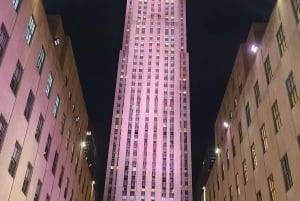 NYC: Kerstverlichting rit met de paardenkoets