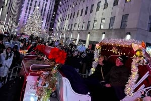 NYC: Paseo en Coche de Caballos con Luces de Navidad