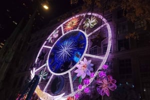 NYC: Paseo en Coche de Caballos con Luces de Navidad